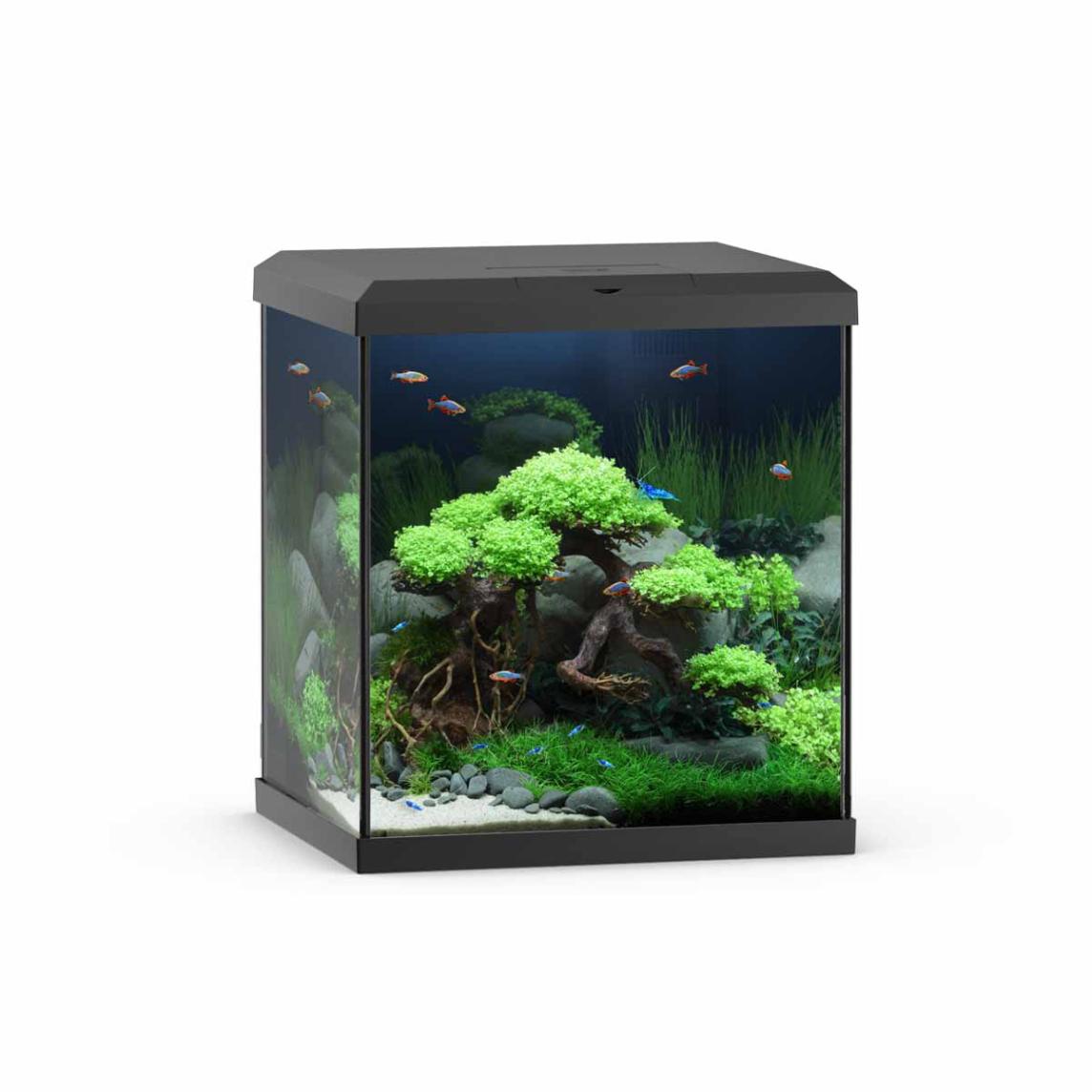Juwel Vio Cube 54 Nano Akvaario 54L