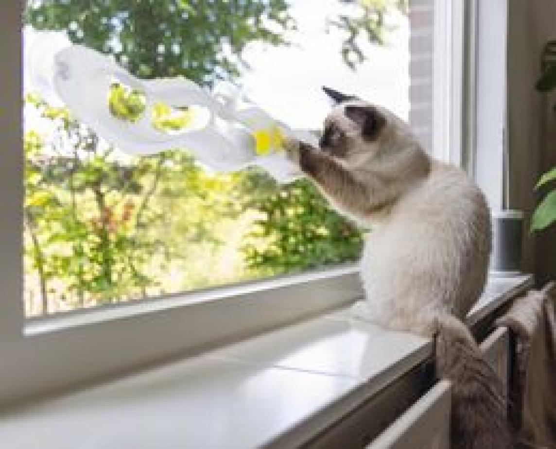 Play Rail kissan aktivointilelu 52cm