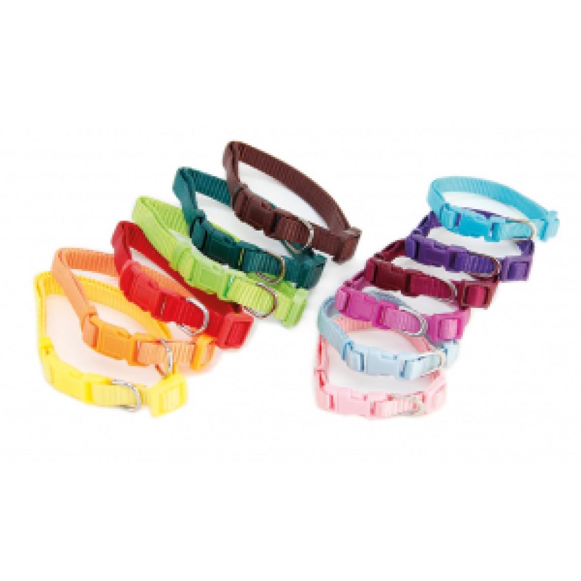 Pikkupantasetti/pentupanta