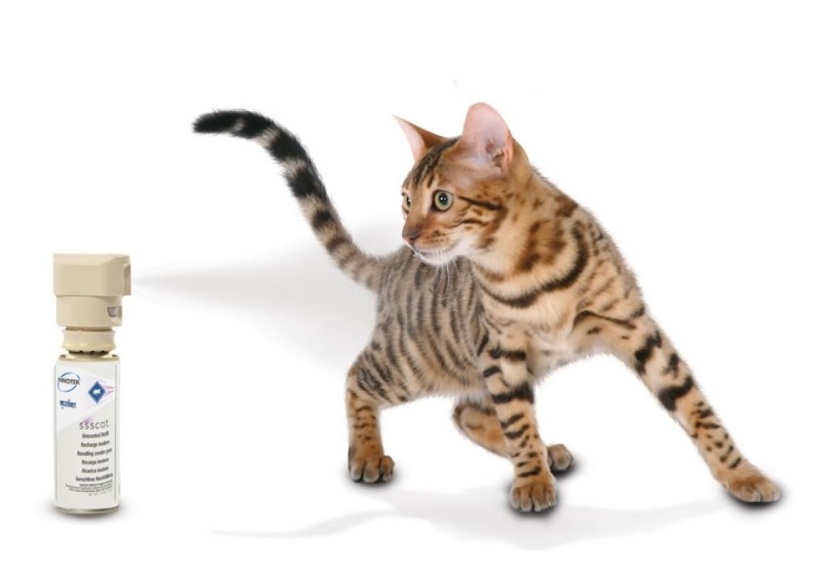 Kissankarkoitin PetSafe Innotek SSSCat