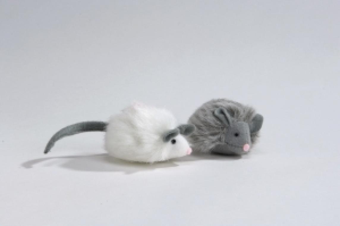 Turkishiiri Foxy aito ääni