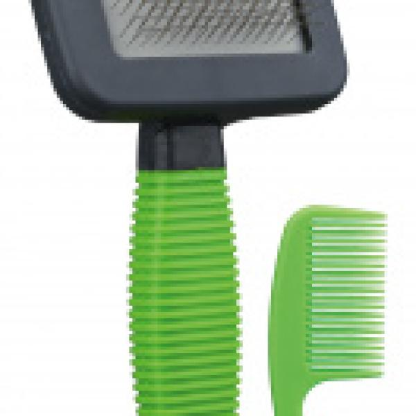 Karsta ja kampasetti kanille