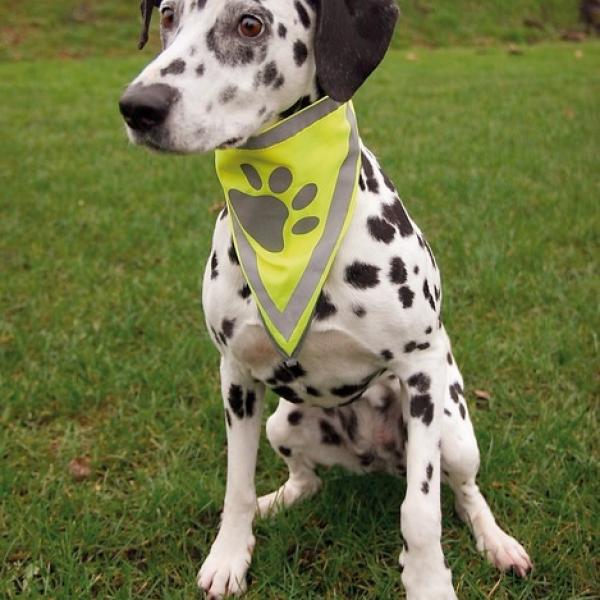 Heijastava kaulahuivi