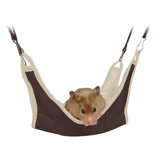 Riippumatto, hiiri ja hamsteri