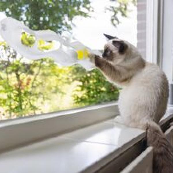 Play Rail kissan aktivointilelu 52cm