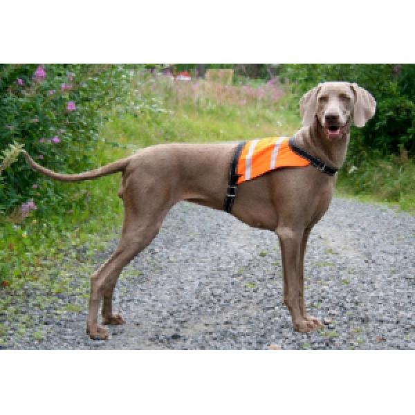 Koiran huomioliivi, tasku GPS-paikannuslaitteelle