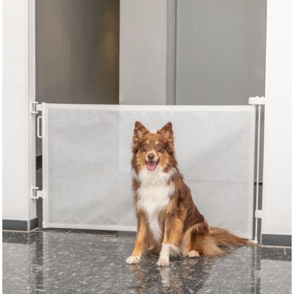 Rullattava koiraportti, korkeus 86cm